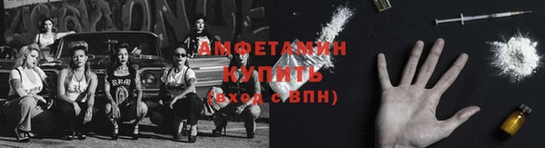 ГАЛЛЮЦИНОГЕННЫЕ ГРИБЫ Алексин